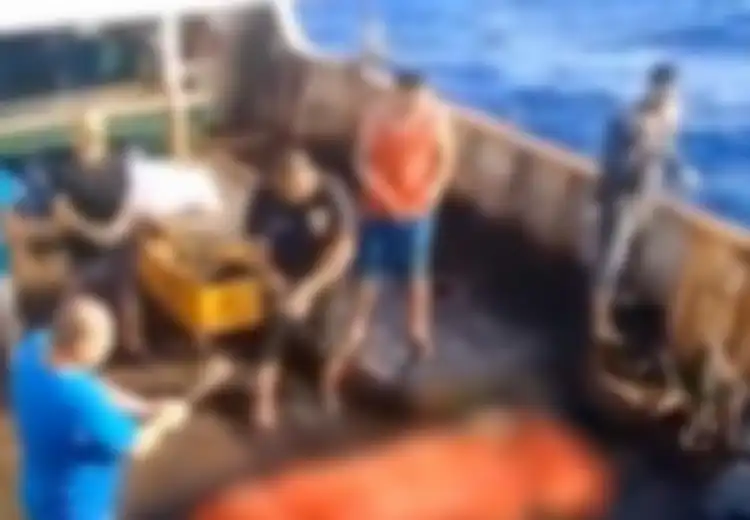 Lihat 4 Jenazah Rekannya Dibuang ke Laut, Beberapa ABK Indonesia di Kapal China Ini Cerita Hanya Tidur 3 Jam dan Makan 'Umpan Ikan', 'Kami Tak Bisa Protes'