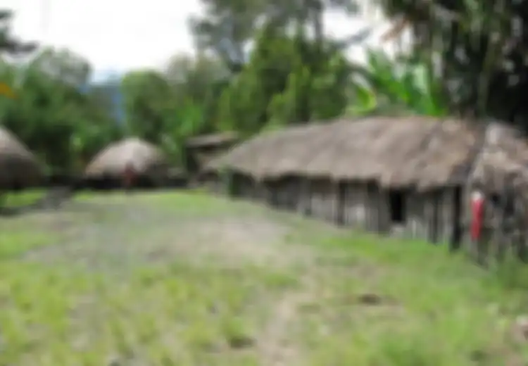 Tidak Hanya Rumah Honai, Inilah Berbagai Rumah Adat Papua dengan Fungsi Berbeda-beda