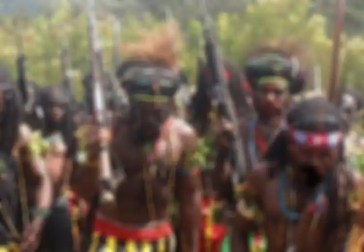 Teror KKB Papua Belum Selesai, Muncul Lagi Kelompok Separatis NRFPB Saingi KKB Papua, Berpakaian Lengkap ala TNI-Polri, Dua Tahun Lalu Bikin Masalah Lebih Besar