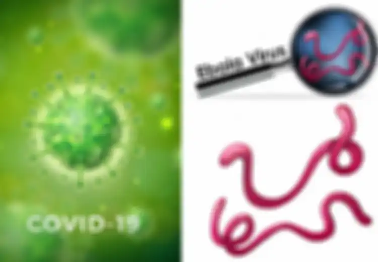Jomplang, Meski Sama-sama Infeksi 3000 Orang di Kongo, Data Ini Ungkap Betapa Virus Ebola Jauh Lebih Mematikan Dibanding Virus Corona