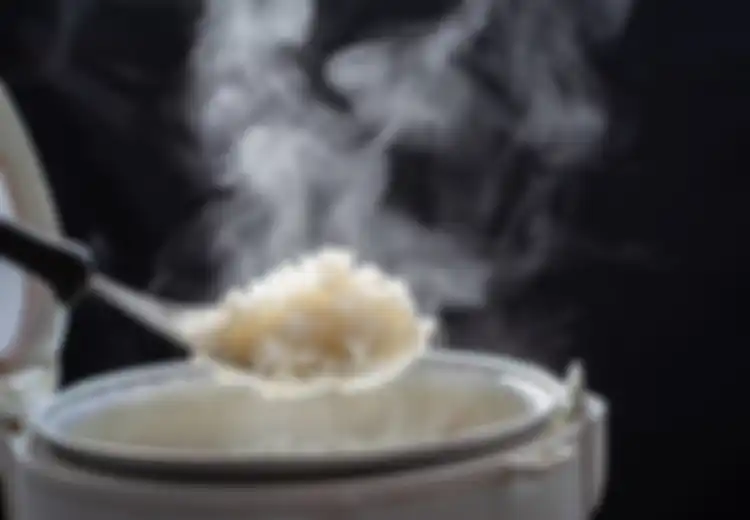 Sering Kesal karena Nasi Tetap Cepat Basi Meski Disimpan Dalam Rice Cooker? Ternyata Penyebabnya Hal Sepele Ini