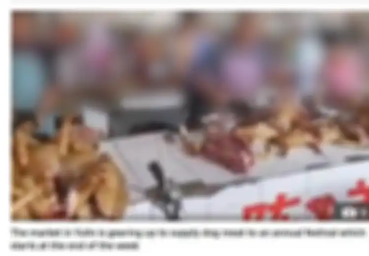 Sudah Dilarang Karena Covid-19, Pasar Khusus Daging Anjing Malah Ramai Dikunjungi, Tampak Anjing-anjing di Sana Disembelih, Dimasak, hingga Digantung
