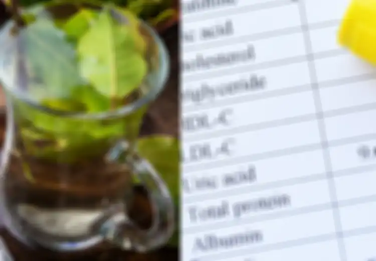 Manfaat Daun Salam untuk Asam Urat dan Herbal Lainnya untuk Gout