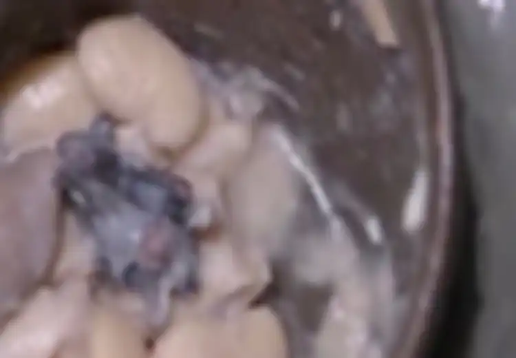 Dikira Bumbu Kaldu yang Menggumpal, Siapa Sangka Satu Keluarga Ini Buru-buru Tes Virus Corona Karena Ada Kejutan Menjijikkan di Sup yang Mereka Makan