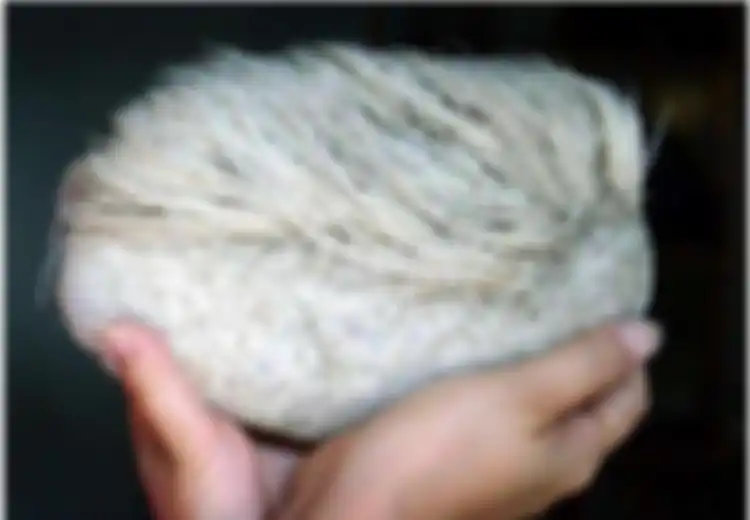 Habiskan Sebagian Gajinya Hanya Untuk Beli Batu yang Memiliki Rambut Sampai Dimarahi Istri, Satu Keluarga Langsung Bungkam Begitu Tahu Batu Itu Bukan Benda Sembarangan