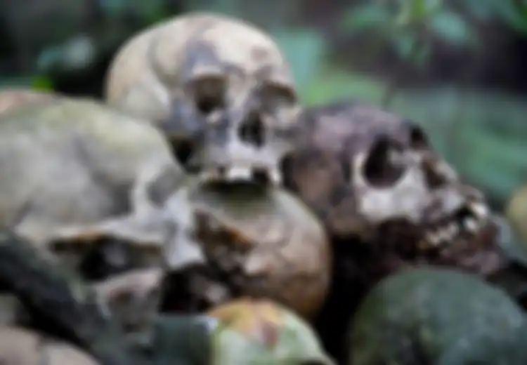 Di Tengah Pandemi Covid-19, Mayat-mayat di Desa di Bali Ini Masih Tetap Diletakkan Begitu Saja di Bawah Pohon Tanpa Dikubur, Apa Alasan Mereka?