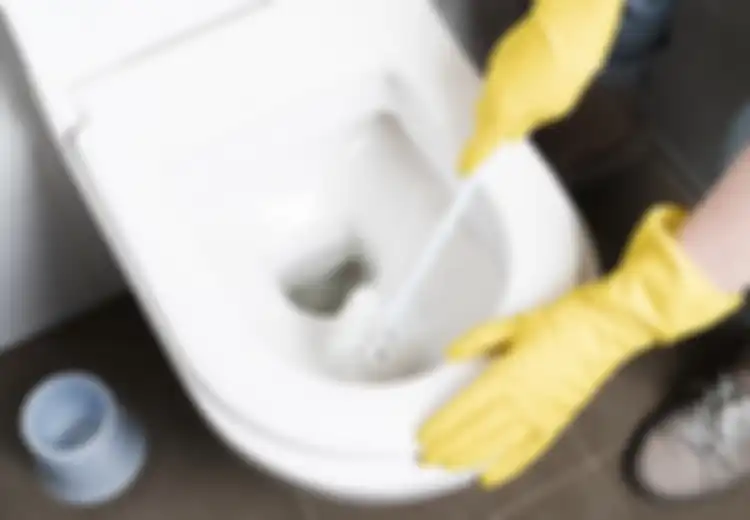 Boleh Sih Mencampur Bahan Pembersih untuk Bersihkan Toilet, Tapi Ingat, Jangan Pernah Campurkan Kedua Bahan ini, Bisa Hasilkan Gas Beracun!