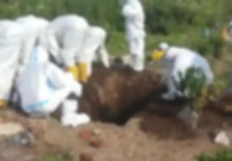 Bukan Push Up atau Nyapu Jalanan, Warga yang Tak Mau Pakai Masker di Sini Akan Dipaksa Menggali Kuburan untuk Korban yang Meninggal Akibat Covid-19, Masih Mau Melanggar?