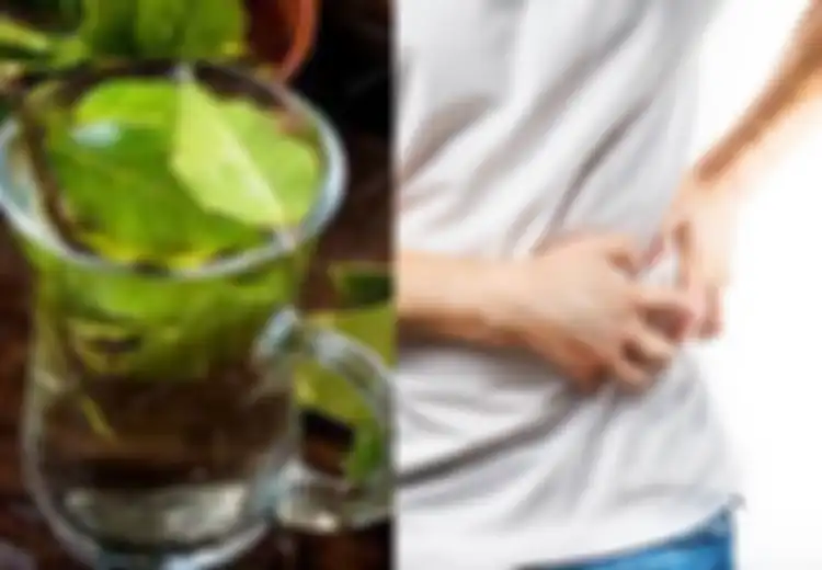Pasien Ginjal Bisa Sembuh Dengan Jus Daun Ketumbar Ini, Ini Resepnya