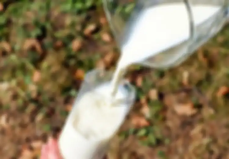 Ingat, Jangan Pernah Kombinasikan Empat Makanan Ini dengan Susu, Karena Efeknya Bisa Bahayakan Kesehatan Tubuh, Hati-hati!