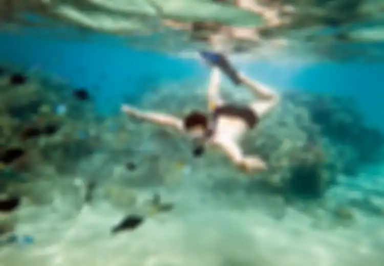 Pamitnya Snorkeling, Seorang Remaja Justru Ditemukan Telah Tewas Mengenaskan, Dikira Hanya karena Tenggelam Tapi Hasil Autopsi Berkata Lain