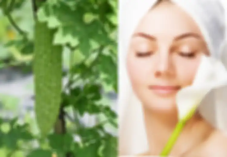 Ingin Cantik Tak Perlu Mahal, Cukup Oleskan Masker Pare pada Wajah, Meski Rasanya Pahit Ampuh Atasi Kulit Berjerawat dan Bikin Lembap Sepanjang Hari