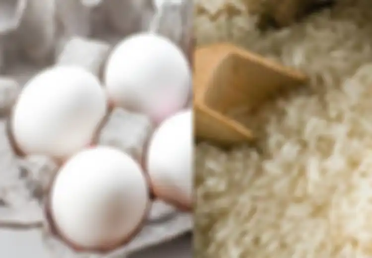 Coba Taruh Telur Ayam di Atas Beras Setiap Hari, Percaya atau Tidak Anda Akan Terkejut Temukan Hal Menakjubkan yang Tak Disangka-sangka Ini!