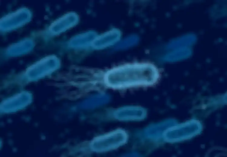 Fakta Sebenarnya: Apakah Brucellosis Benar-benar Disebabkan oleh Bocornya 'Virus' dari Laboratorium China?