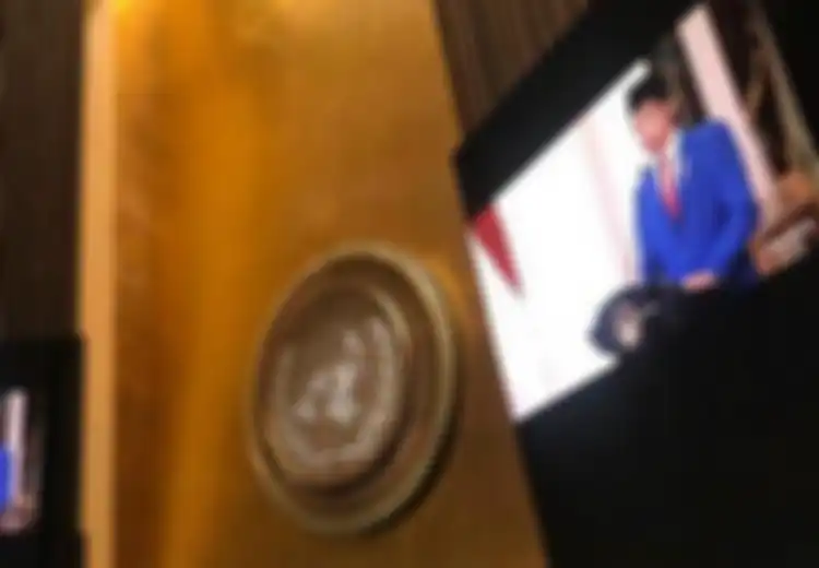 Disindir Negara Pasifik Ini Atas Tuduhan Pelanggaran HAM Warga Papua, Diplomat Indonesia Balas dengan Tegas: Vanuatu Jangan Ikut Campur Urusan Papua