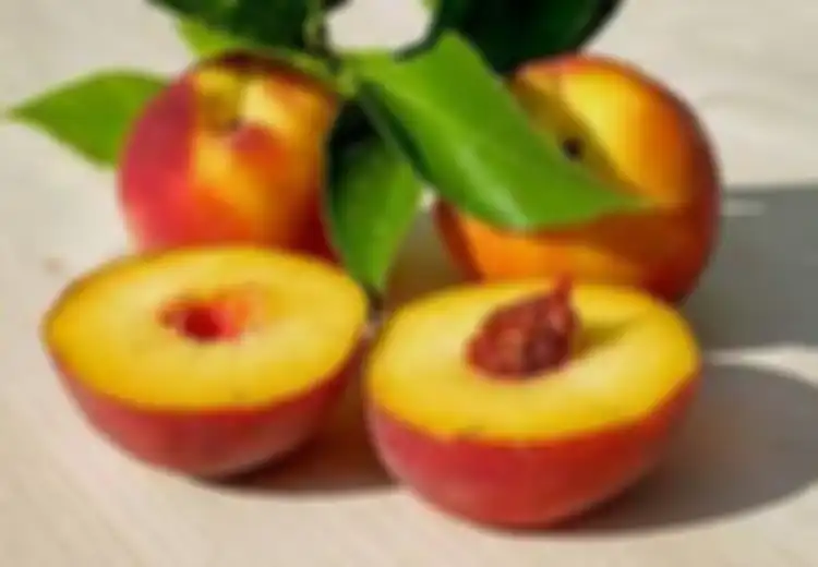 5 Manfaat Buah Nectarine untuk Kesehatan, Bisa Cegah Kanker!