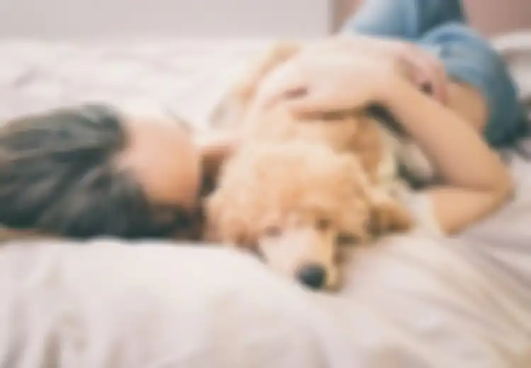 Coba Tidur dengan Anjing Peliharaan Anda dan Rasakan Tiga Manfaatnya, Salah Satunya Tingkatkan Kesehatan Mental, Mau Coba?