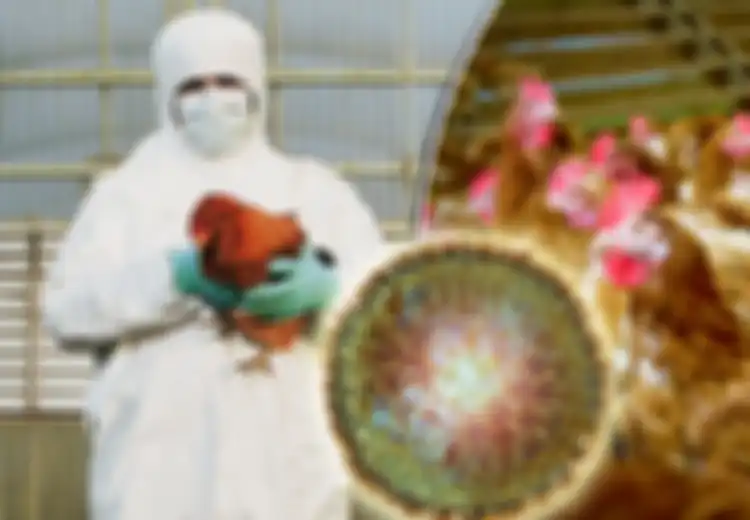 Selama Ini Jadi Misteri Terbesar Covid-19, Akhirnya Terkuak Sudah Pasien Zero, Alias Orang Pertama di Dunia yang Terinfeksi Virus Corona Dibocorkan Oleh WHO