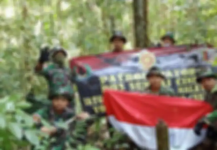 Sering Terlibat Polemik Perbatasan, Ini Perbandingan Kekuatan Militer Indonesia dan Malaysia