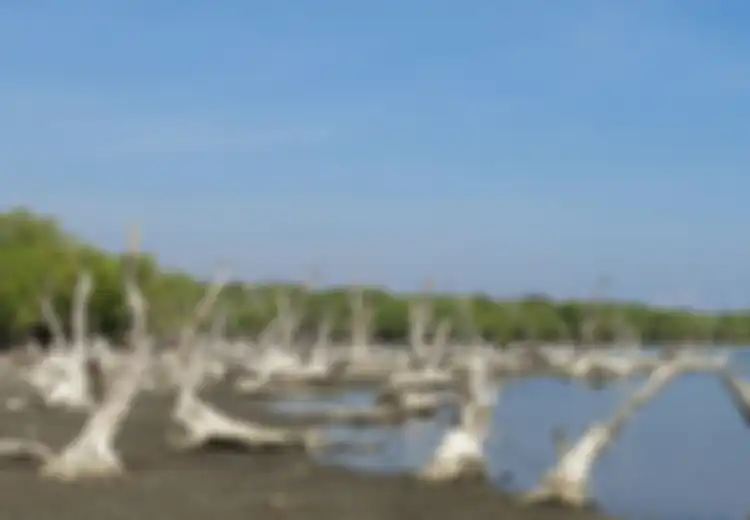 Terlihat Menawan, Siapa Sangka Danau Ini Adalah Tempat Angker di Timor Leste, Konon di Dalamnya Tersimpan Bukti Kejahatan Besar Indonesia