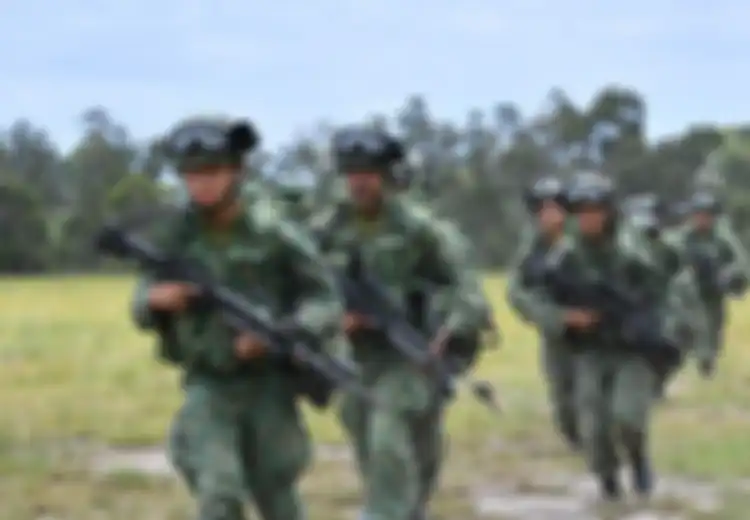 Ada Kampanye Adopsi Anjing Militer, Ini Fakta-fakta Militer Singapura, Militer Paling Kaya di Asia Tenggara