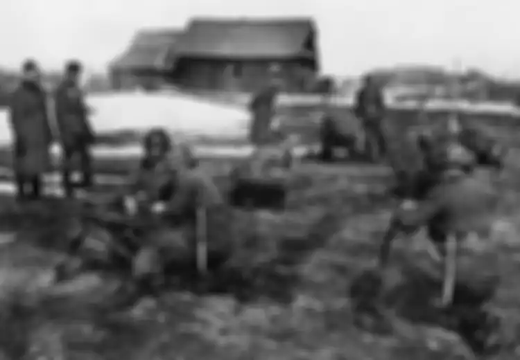 Mengenal Blue Division Pasukan Jerman yang Berhasil Kalahkan Tentara Bentukan Stalin di Perang Dunia II