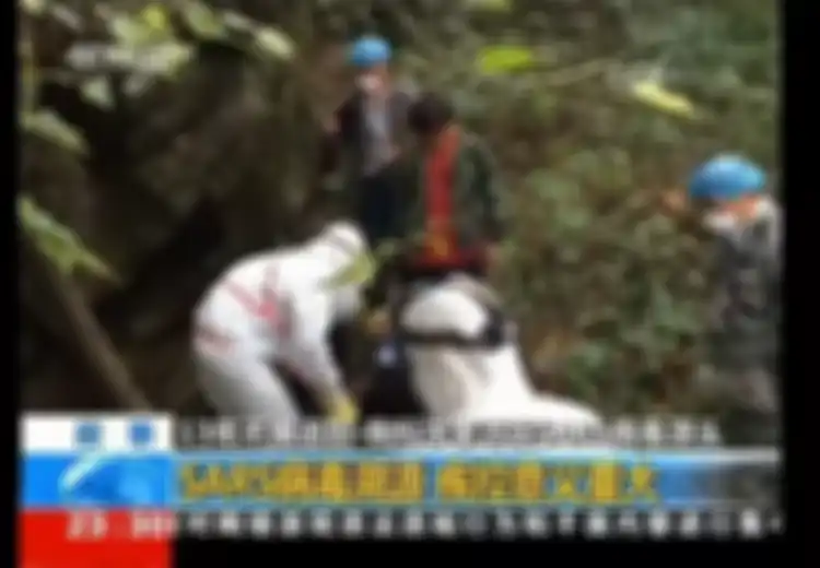 Mungkinkah Misteri Virus Corona Akhirnya Terungkap? Video Lama Tunjukkan Para Ilmuwan Wuhan Menangani Kelelawar Sebelum Pandemi Covid-19