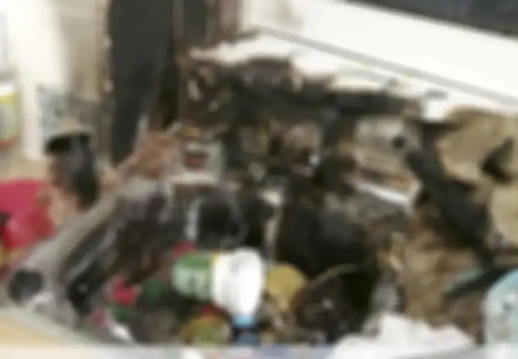 Ibu dan Anaknya Ini Temukan Sesuatu yang Mirip Fosil, Tiba-tiba Meledak di Wastafel Dapur, Rupanya Ini Sisa-sisa Perang Dunia Kedua