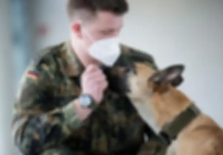 Jerman Gunakan Anjing Pelacak untuk Deteksi Covid-19 dengan Akurasi Hingga Angka 94