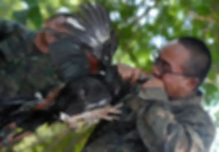 5 Latihan Militer Luar Biasa: Termasuk Menggigit Kepala Ayam Hidup di Thailand dalam 'Cobra Gold' yang Libatkan 13.000 Tentara
