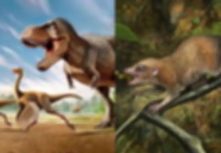 Bukti Nenek Moyang Manusia Hidup Berdampingan dengan Dinosaurus, Ilmuwan: 'Ini Adalah Garis Keturunan Kami'