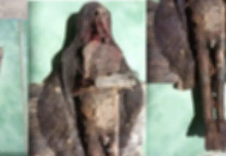 Ditemukan Jenglot Mengerikan di Area Makam Mbah Akasah Kudus hingga Akhirnya Dibakar, Seperti Apa Kebenarannya?