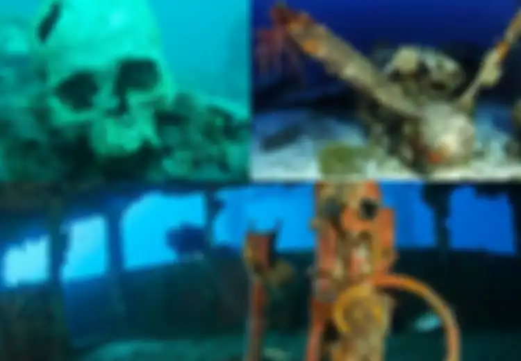 Jadi Tantangan Tersendiri, Menyelam Saksikan Kuburan Pesawat Pembom Perang Dunia II yang Ditemukan Setelah 76 Tahun di Truk Lagoon dengan Bom dan Ranjau yang Masih Aktif