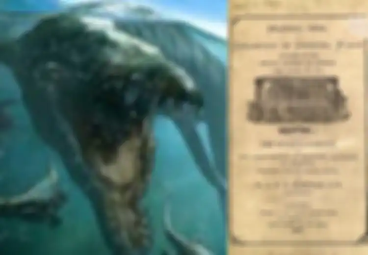 Teks Ayurveda 'Susruta Samhita' Abad ke-6 SM Ungkap Monster Laut, Bagaimana Mereka Tahu Keberadaan 'Megalodon' yang Punah 1,2 Juta Tahun Sebelum Manusia Berjalan Tegak?