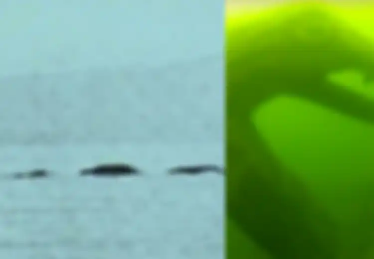 Opogopo yang Mendiami Danau di Kanada Konon Lebih Terbukti Nyata dari Monster Loch Ness, Ratusan Tahun Lalu Bahkan Orang Indian Selalu Siapkan Tumbal Agar Selamat 