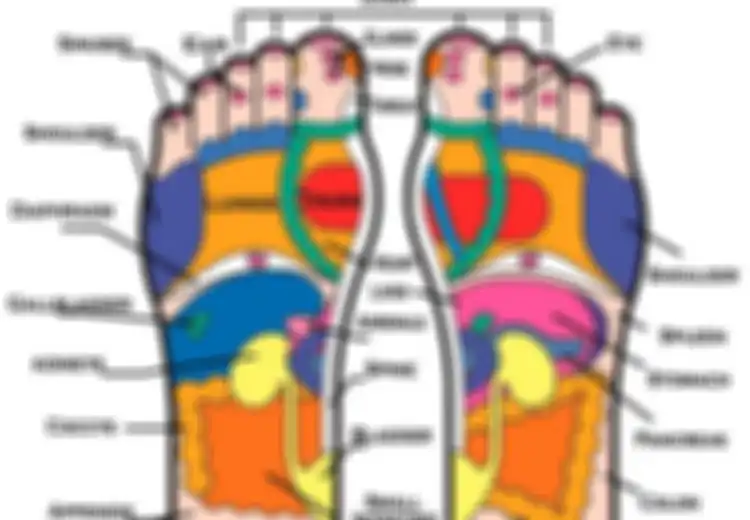 Inilah Area Titik Refleksi Kaki dan Bagaimana Cara Kerja Refleksi Dapat Sembuhkan Masalah Organ atau Sistem dalam Tubuh Hingga Stres