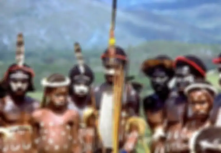 Lembaga Ini Pernah Mati-matian Kecam Indonesia Gara-gara Perkara Papua, Namun Langsung Dibuat Bungkam Setelah Tau Kenyataan Sejarah Ini