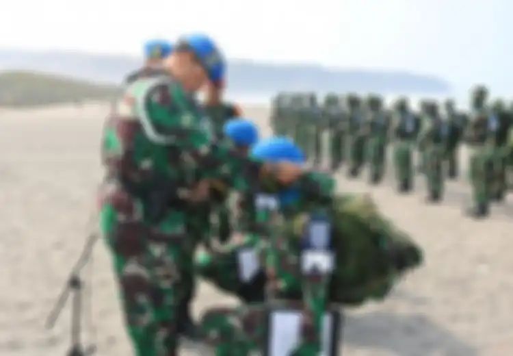 Inilah Tanda Kepangkatan Tentara Nasional Indonesia Angkatan Udara Beserta Gaji dan Tunjangannya