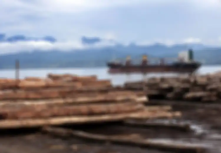 Tak Puas Paksa Negara Tetangga Indonesia 'Surga Kasino' Tempat Judi, China Juga Jadi Cukong yang Babat Hutan Negara Ini Demi Pendulang Cuan