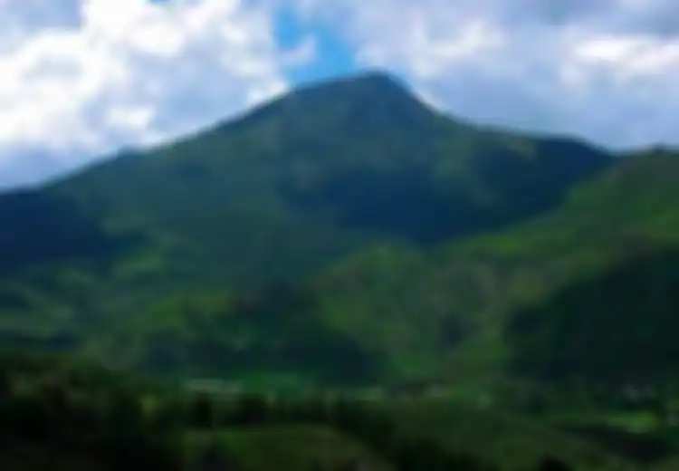 Ada di Lambang Negara Timor Leste, Inilah Gunung Tatamailu yang Bantu Rakyat Timor Leste dari Masa Penjajahan hingga Invasi Indonesia, Kini Jadi Penghalang?
