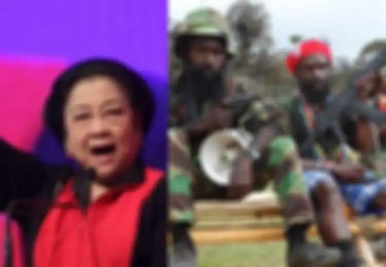 'Naik Pohon Bisa, Apalagi yang di Pegunungan Itu,' Megawati Sarankan BIN Pakai Strategi Perang Gerilya Terhadap KKB Papua