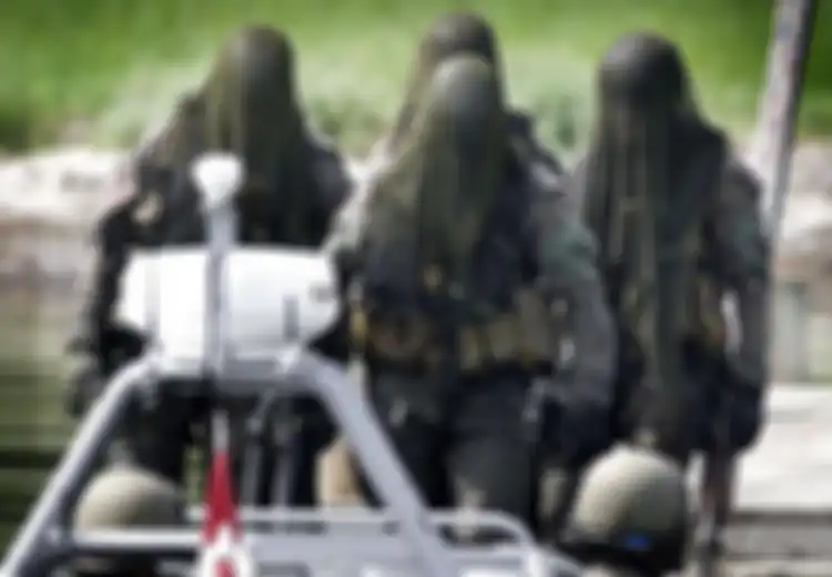 Punya Topeng Bak Iblis dalam Mimpi Buruk Setiap Orang, Inilah Frogman Korps, Pasukan Khusus Denmark yang Punya Cara Unik untuk Berkamuflase