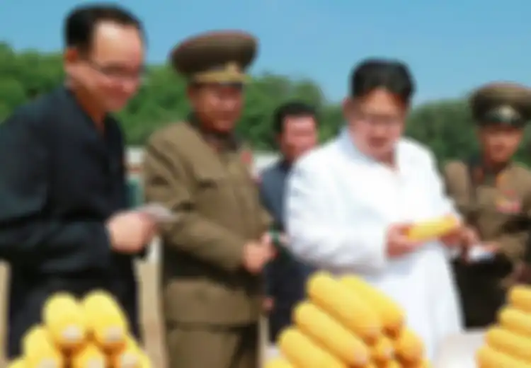 Bukannya Jatuh, Mata Uang Korea Utara Malah Menguat Terhadap Dollar Setelah Semua Bencana yang Mereka Terima, Seluruh Dunia Curigai Kim Jong-Un Tega Lakukan Hal Ini