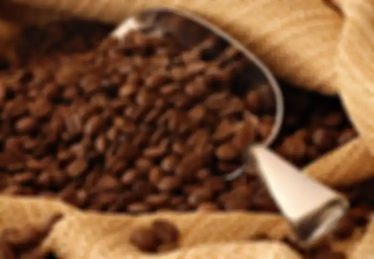 Kopi Timor, Salah Satu yang Bikin Anda Punya Alasan untuk Berkunjung ke  Timor Leste Sekarang dan Kembali Lagi, Ini Alasan yang Lainnya