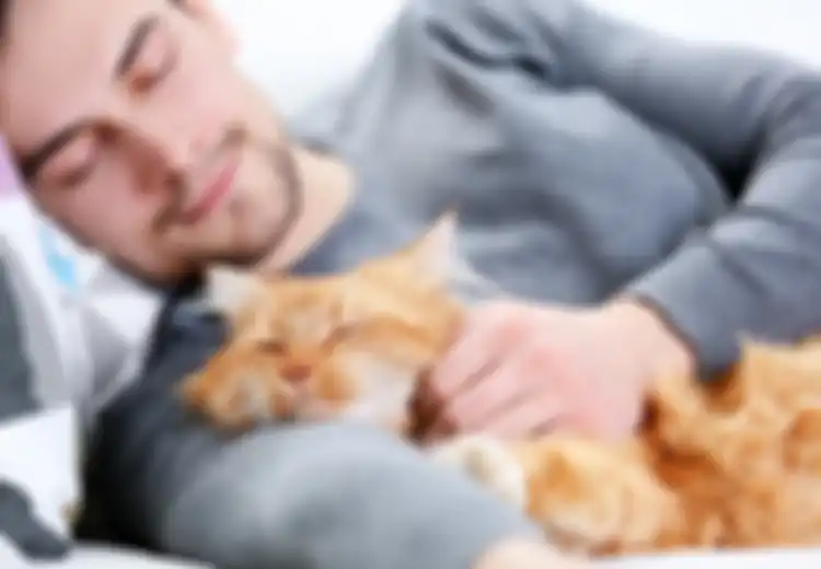 Waspada, Kucing dan Anjing pun Bisa Tertular Covid-19 dari Pemiliknya yang Terinfeksi, dengan Tingkat Penularan yang Sangat Tinggi, Menurut Penelitian