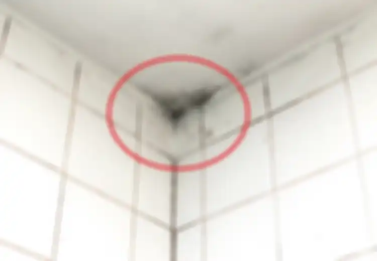 Tak Susah Bikin Kamar Mandi Jadi Terasa Nyaman, Coba Saja Hilangkan Jamur dengan 4 Cara Alami dan Ampuh Ini!