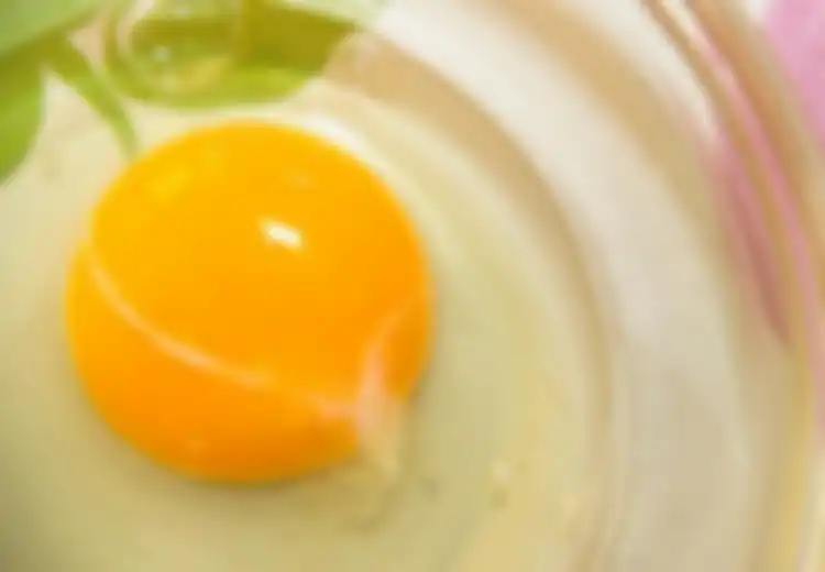 Padahal Sudah Jadi Tambahan Wajib Orang Se-Indonesia, Ternyata Menambahkan Daun Bawang Saat Memasak Telur Malah Dianggap Menimbun Penyakit, Hentikan Jika Tak Ingin Hal Ini Terjadi