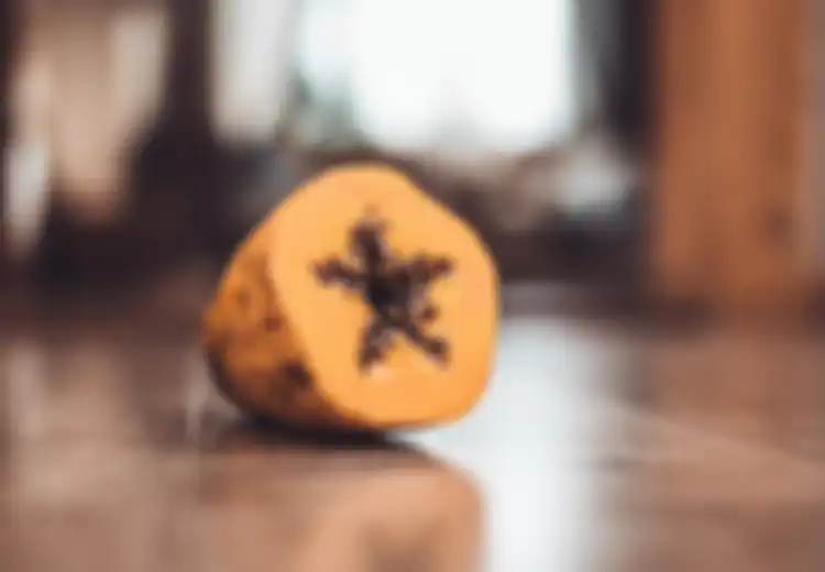 Tukang Buah Se-Indonesia Kompak Membuangnya ke Tempat Sampah, Nyatanya Biji Pepaya Punya Manfaat Luar Biasa, Termasuk Musnahkan Jamur dan Parasit
