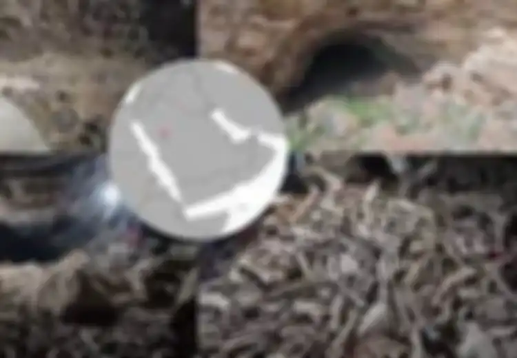 Berusia 7.000 Tahun, Ribuan Tulang Manusia dan Hewan Ditemukan di Tabung Lava Arab Saudi, Kemungkinan Ditimbun oleh Binatang Pemakan Daging Ini