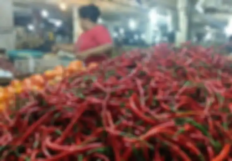 Pasti Akan Dibuang Jika Sudah Busuk Seperti Ini, Ternyata Bumbu Ini Jika Sudah Busuk Malah Bisa Bermanfaat Usir Hewan Pengganggu Rumah Ini